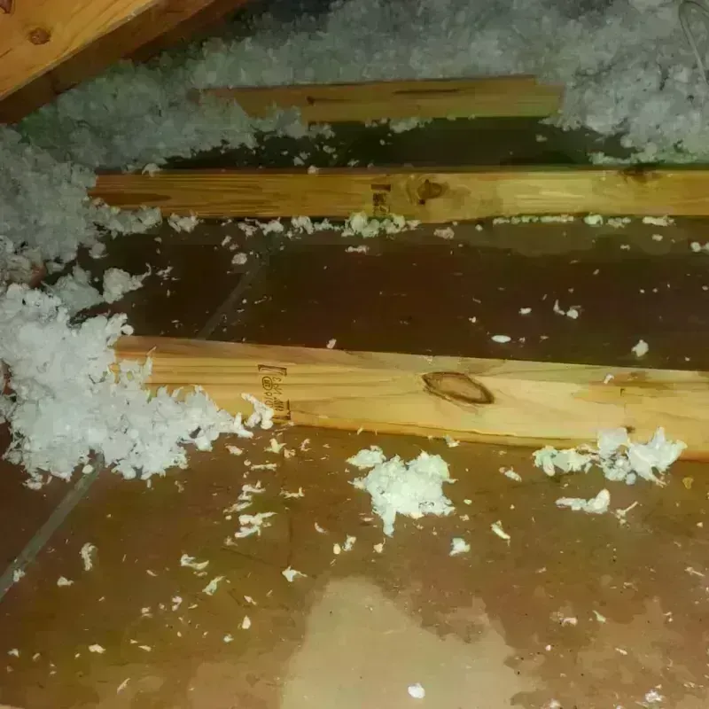 Attic Water Damage in South Paris, ME